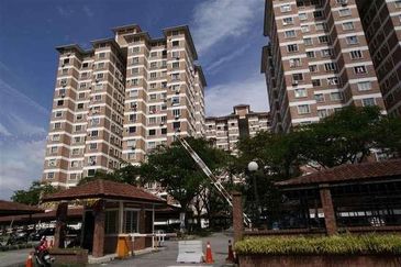Evergreen Park Acorn and Hazel