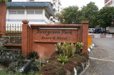 Evergreen Park Acorn and Hazel