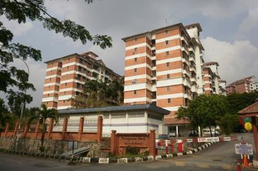 Evergreen Park Acorn and Hazel