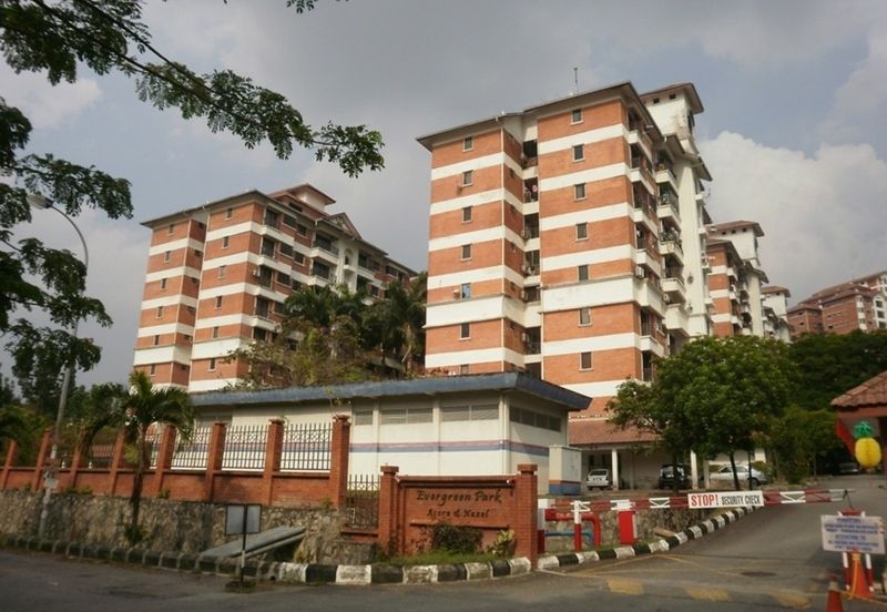Evergreen Park Acorn and Hazel
