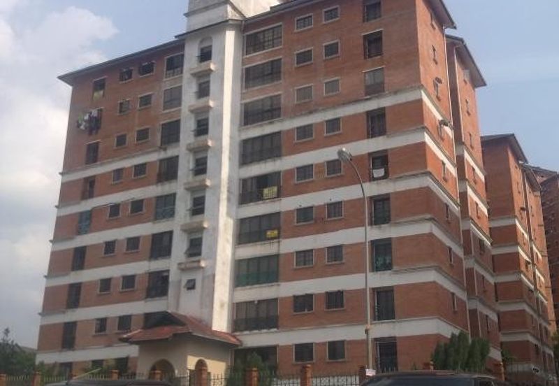 Evergreen Park Acorn and Hazel