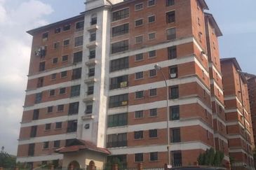 Evergreen Park Acorn and Hazel