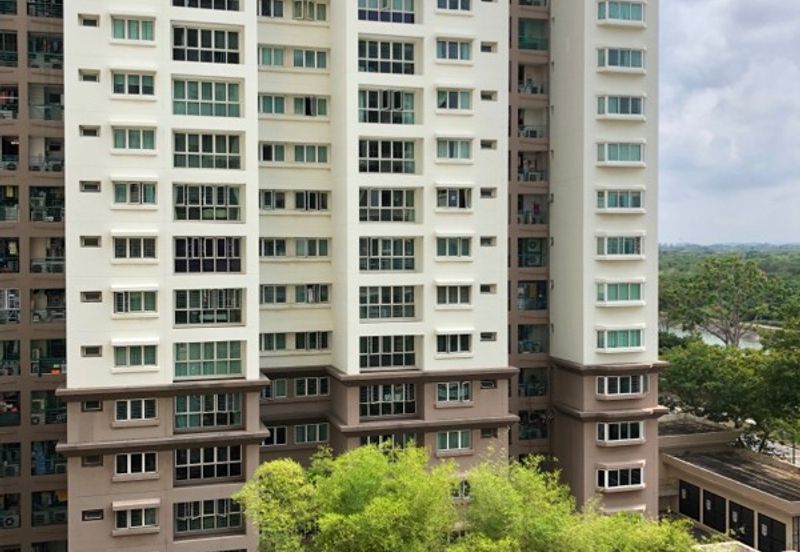Evergreen Park Acorn and Hazel
