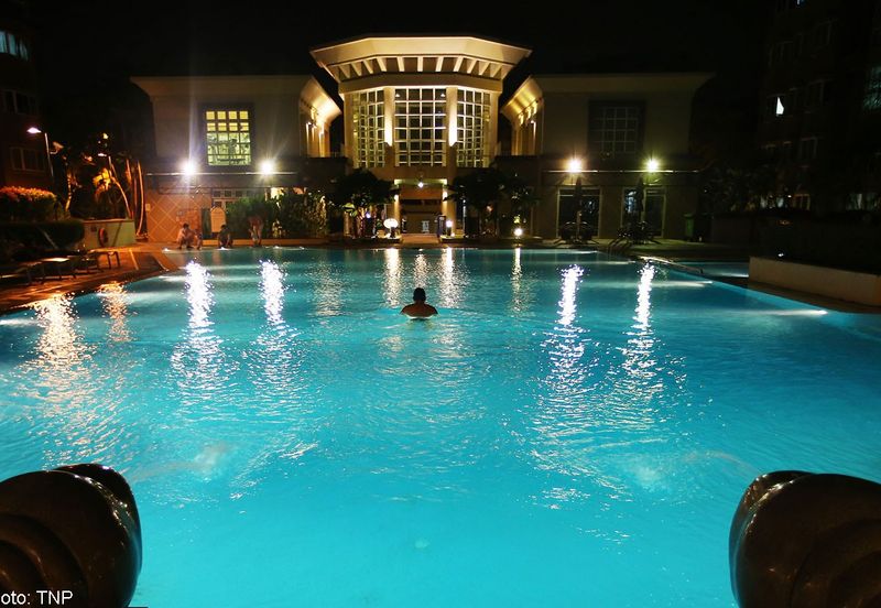 Evergreen Park Acorn and Hazel
