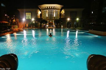 Evergreen Park Acorn and Hazel