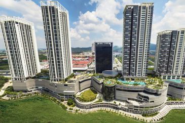 Cyperus @ Tropicana Gardens