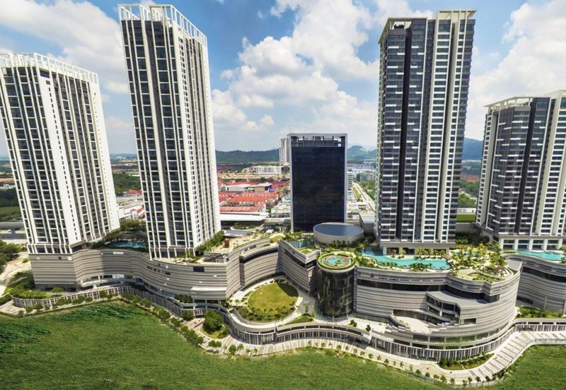 Cyperus @ Tropicana Gardens