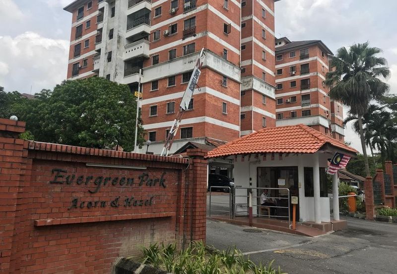 Evergreen Park Acorn and Hazel