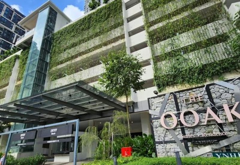 The Ooak (Kiara 163)