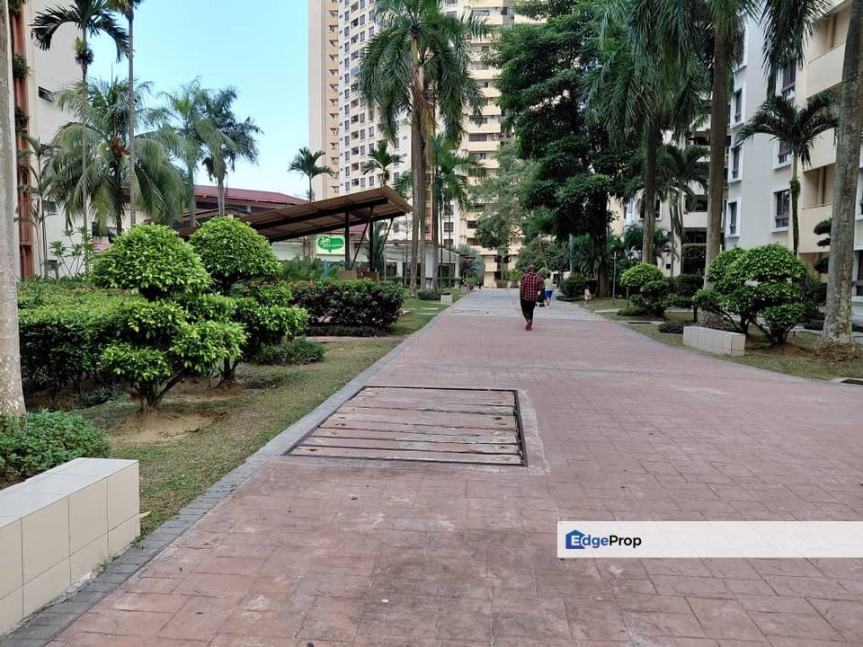 Palm Spring @ Damansara, Kota Damansara, Selangor For Rent, Selangor, Sunway Damansara