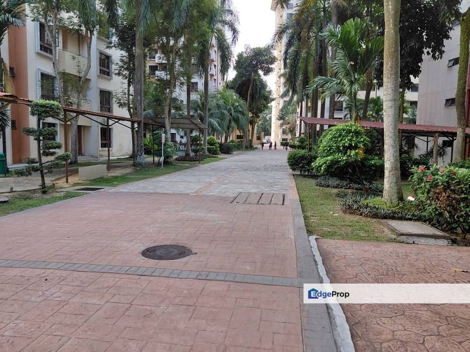 Palm Spring @ Damansara, Kota Damansara, Selangor For Rent, Selangor, Sunway Damansara