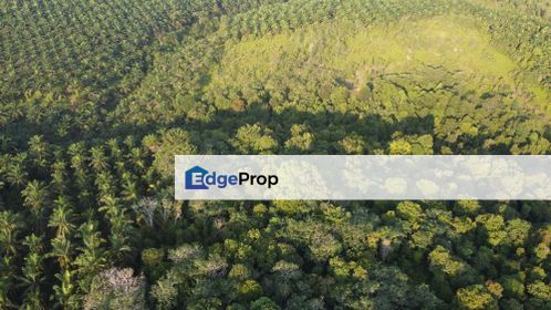 Pengerang Agriculture Land for sale, desaru, Johor, Kota Tinggi