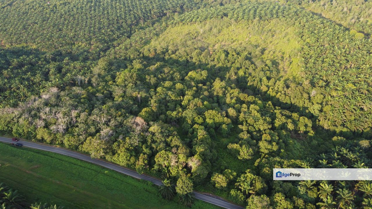 Pengerang Agriculture Land for sale, desaru, Johor, Kota Tinggi