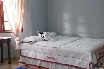 Seksyen 11, Shah Alam