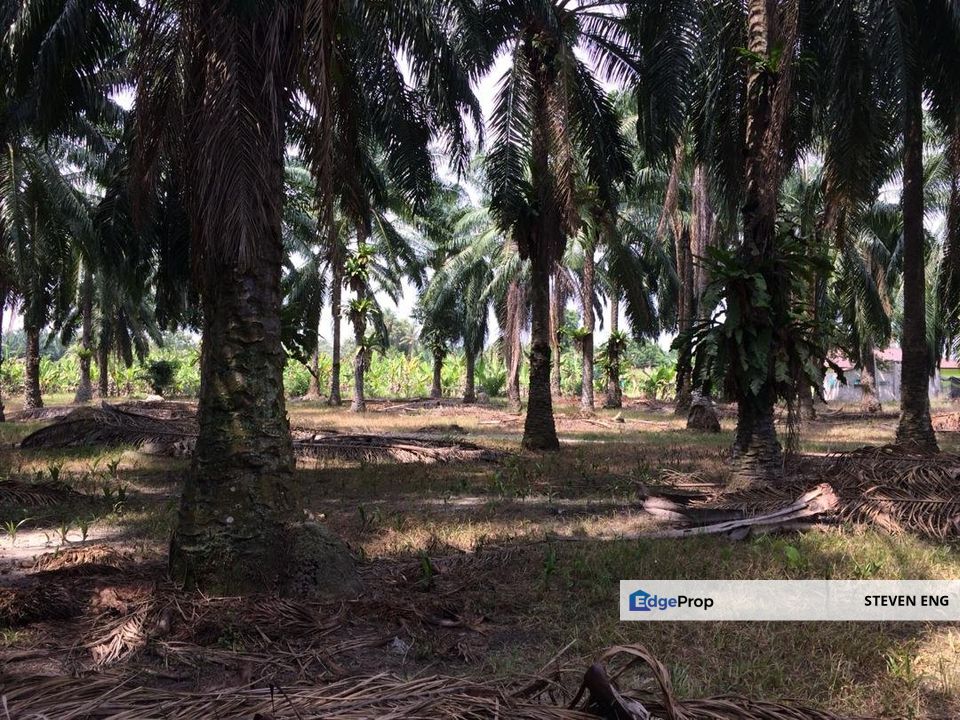 4.2 acre FREEHOLD Agricultural Land, Manjung, Perak, Manjung
