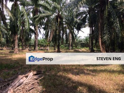 4.2 acre FREEHOLD Agricultural Land, Manjung, Perak, Manjung