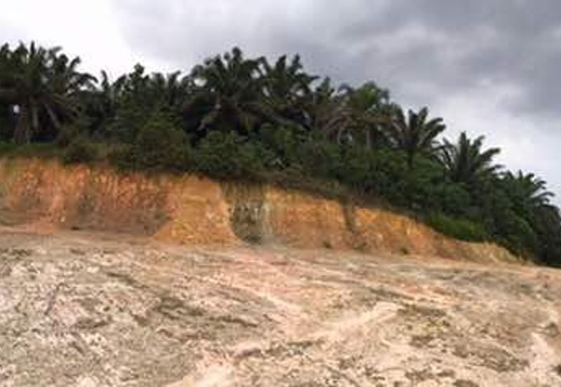 Agricultural Land Near Roadside