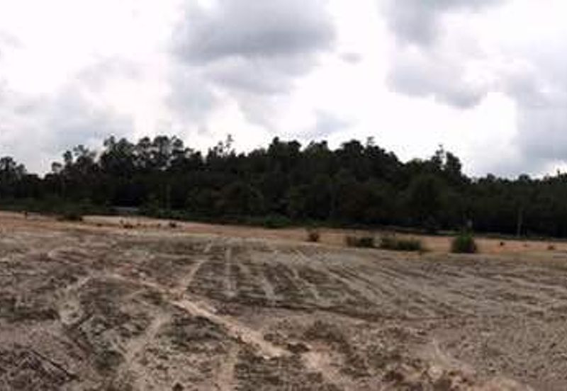 Agricultural Land Near Roadside