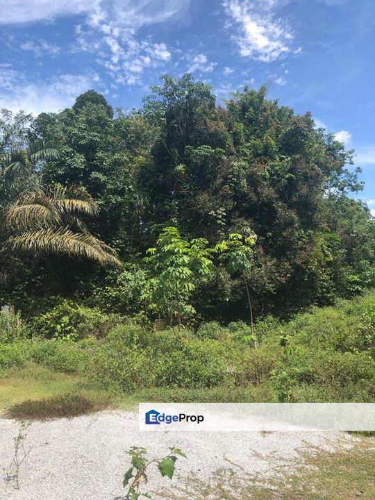 Freehold Agricultural Land, Mukim Kampar, Perak, Kampar