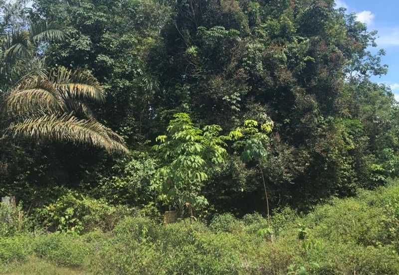 Freehold Agricultural Land, Mukim Kampar