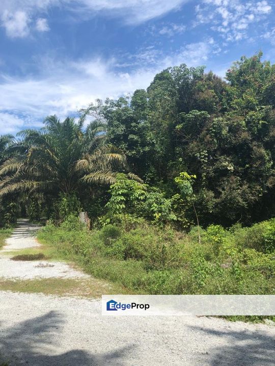 Freehold Agricultural Land, Mukim Kampar, Perak, Kampar