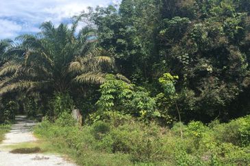 Freehold Agricultural Land, Mukim Kampar