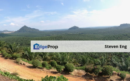 Freehold Agricultural Land @ Sg Long, Rubber Plant, Selangor, Bandar Sungai Long