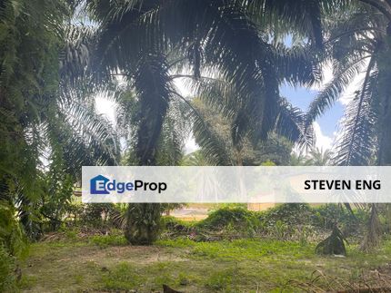 Freehold Land For Sale Below Market Price, Deralik, Manjung, Sitiawan, Perak, Perak, Sitiawan