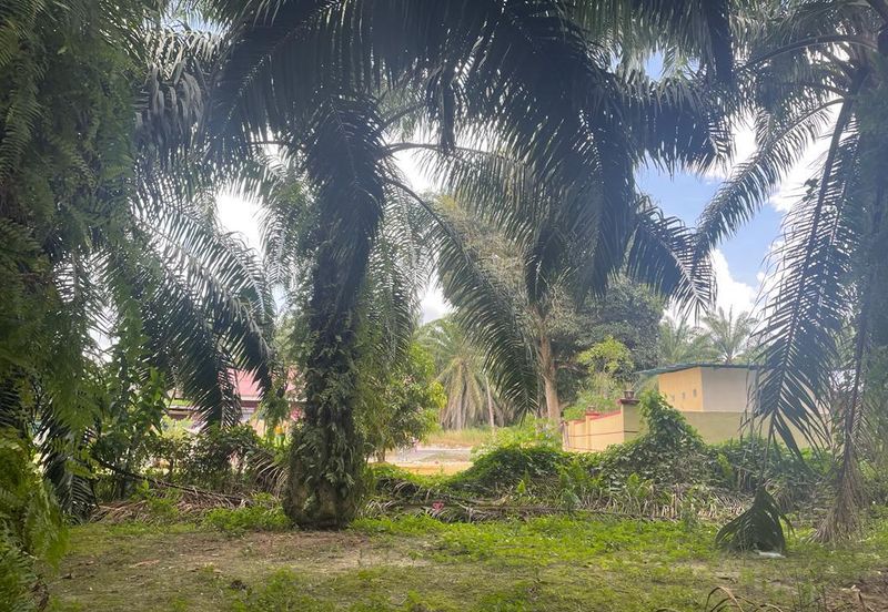 Freehold Land For Sale Below Market Price, Deralik, Manjung, Sitiawan, Perak