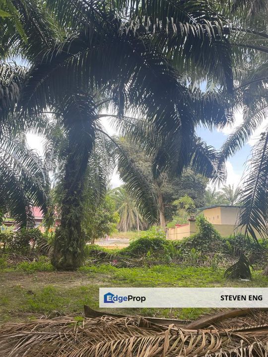 Freehold Land For Sale Below Market Price, Deralik, Manjung, Sitiawan, Perak, Perak, Sitiawan