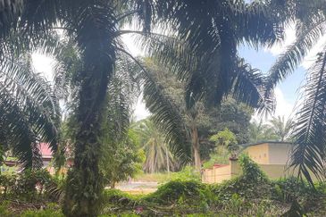 Freehold Land For Sale Below Market Price, Deralik, Manjung, Sitiawan, Perak