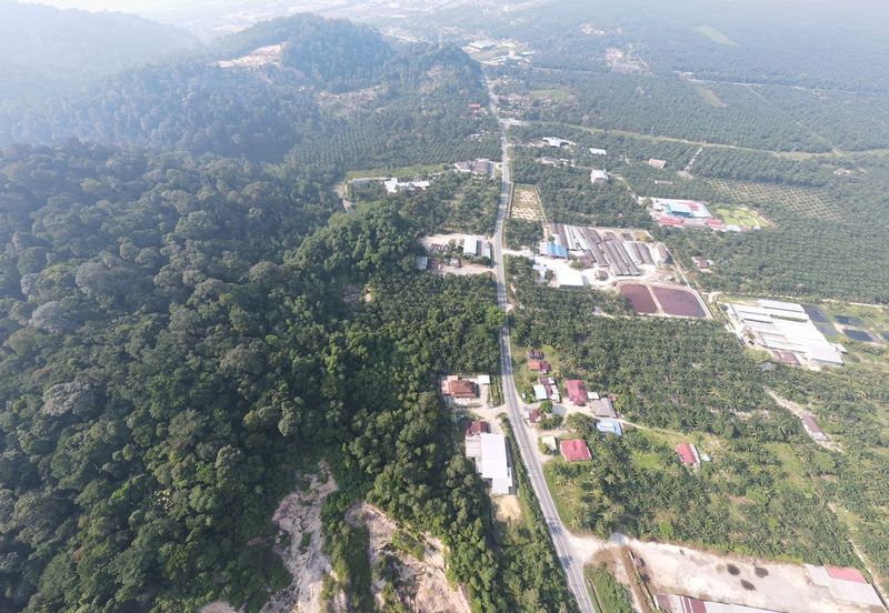 Agricultural Land @ Pantai Remis, Daerah Manjung, Perak (Beside Main Road)