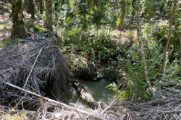 Siputeh Pusing Freehold Agricultural Palm Oil Land For Sale Below Market Price