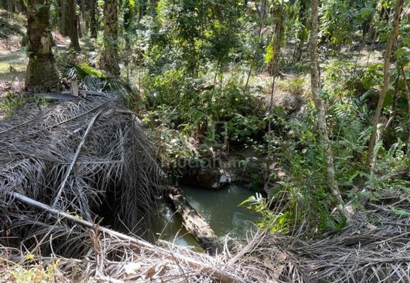 Siputeh Pusing Freehold Agricultural Palm Oil Land For Sale Below Market Price