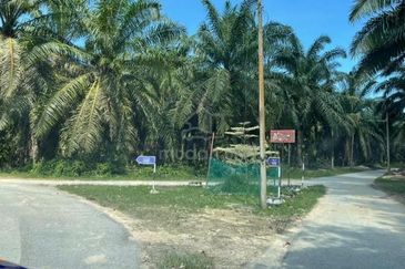 Siputeh Pusing Freehold Agricultural Palm Oil Land For Sale Below Market Price