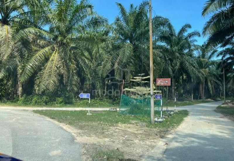Siputeh Pusing Freehold Agricultural Palm Oil Land For Sale Below Market Price