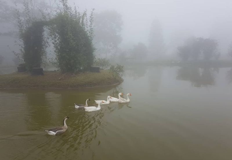 Genting Permai Royale Resort