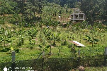  Freehold Cemetery Land, Daerah Larut Matang, Taiping