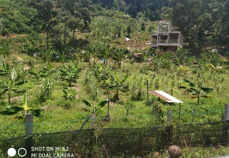  Freehold Cemetery Land, Daerah Larut Matang, Taiping