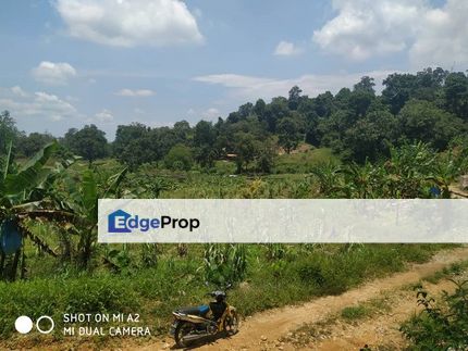  Freehold Cemetery Land, Daerah Larut Matang, Taiping, Perak, Taiping