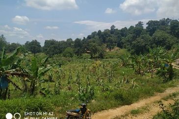  Freehold Cemetery Land, Daerah Larut Matang, Taiping