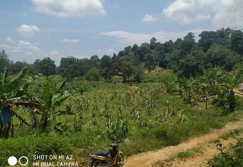  Freehold Cemetery Land, Daerah Larut Matang, Taiping