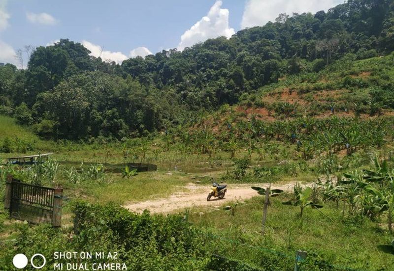  Freehold Cemetery Land, Daerah Larut Matang, Taiping