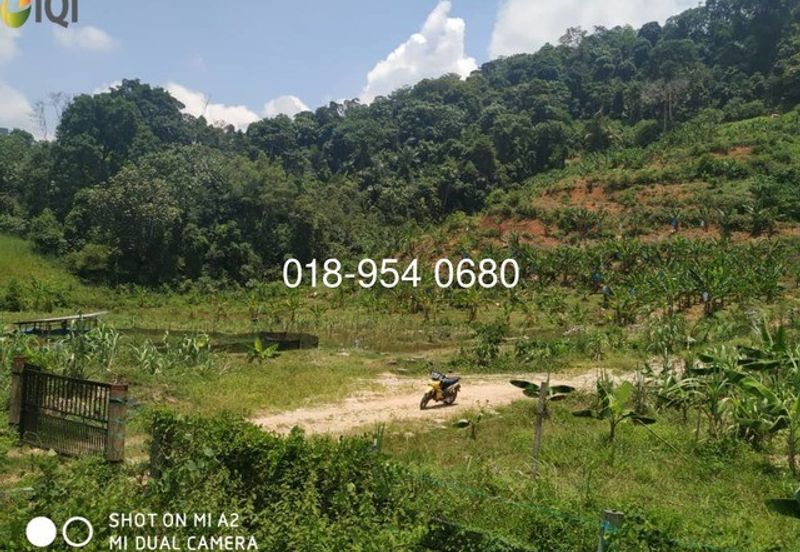 🌳 INVESTMENT OPPORTUNITY: PRIVATE CEMETERY LAND FOR SALE 🌳
