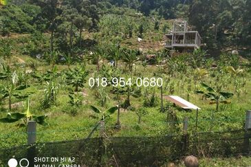🌳 INVESTMENT OPPORTUNITY: PRIVATE CEMETERY LAND FOR SALE 🌳