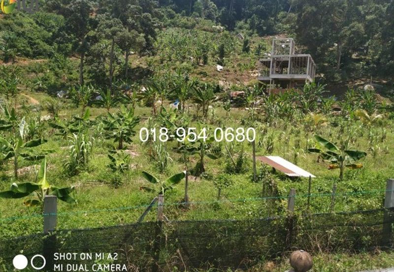 🌳 INVESTMENT OPPORTUNITY: PRIVATE CEMETERY LAND FOR SALE 🌳