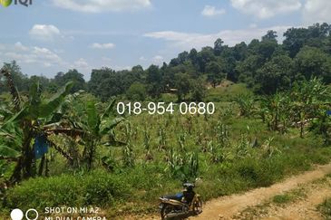 🌳 INVESTMENT OPPORTUNITY: PRIVATE CEMETERY LAND FOR SALE 🌳