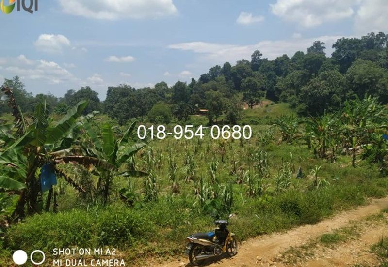 🌳 INVESTMENT OPPORTUNITY: PRIVATE CEMETERY LAND FOR SALE 🌳