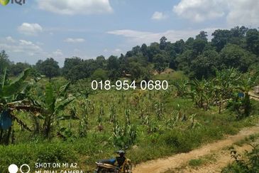 🌳 INVESTMENT OPPORTUNITY: PRIVATE CEMETERY LAND FOR SALE 🌳