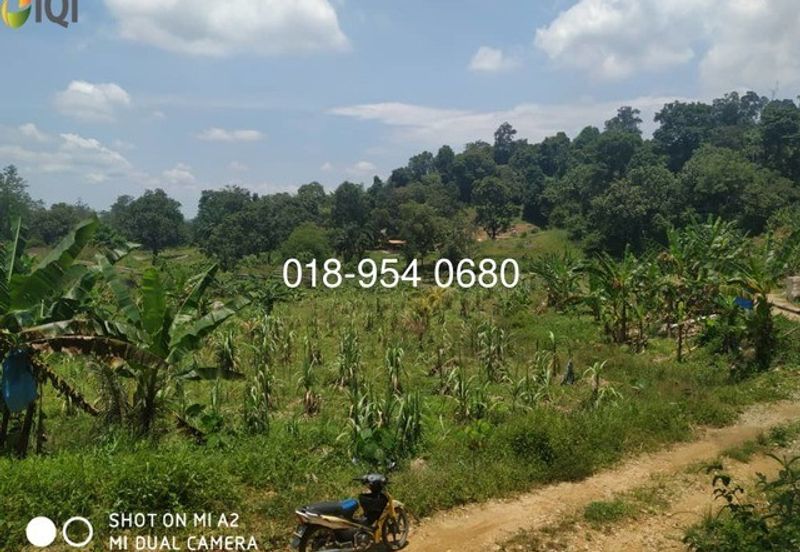 🌳 INVESTMENT OPPORTUNITY: PRIVATE CEMETERY LAND FOR SALE 🌳